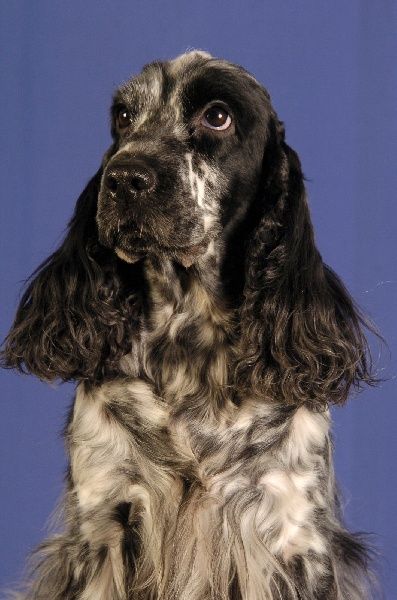Arwen Du domaine de makno