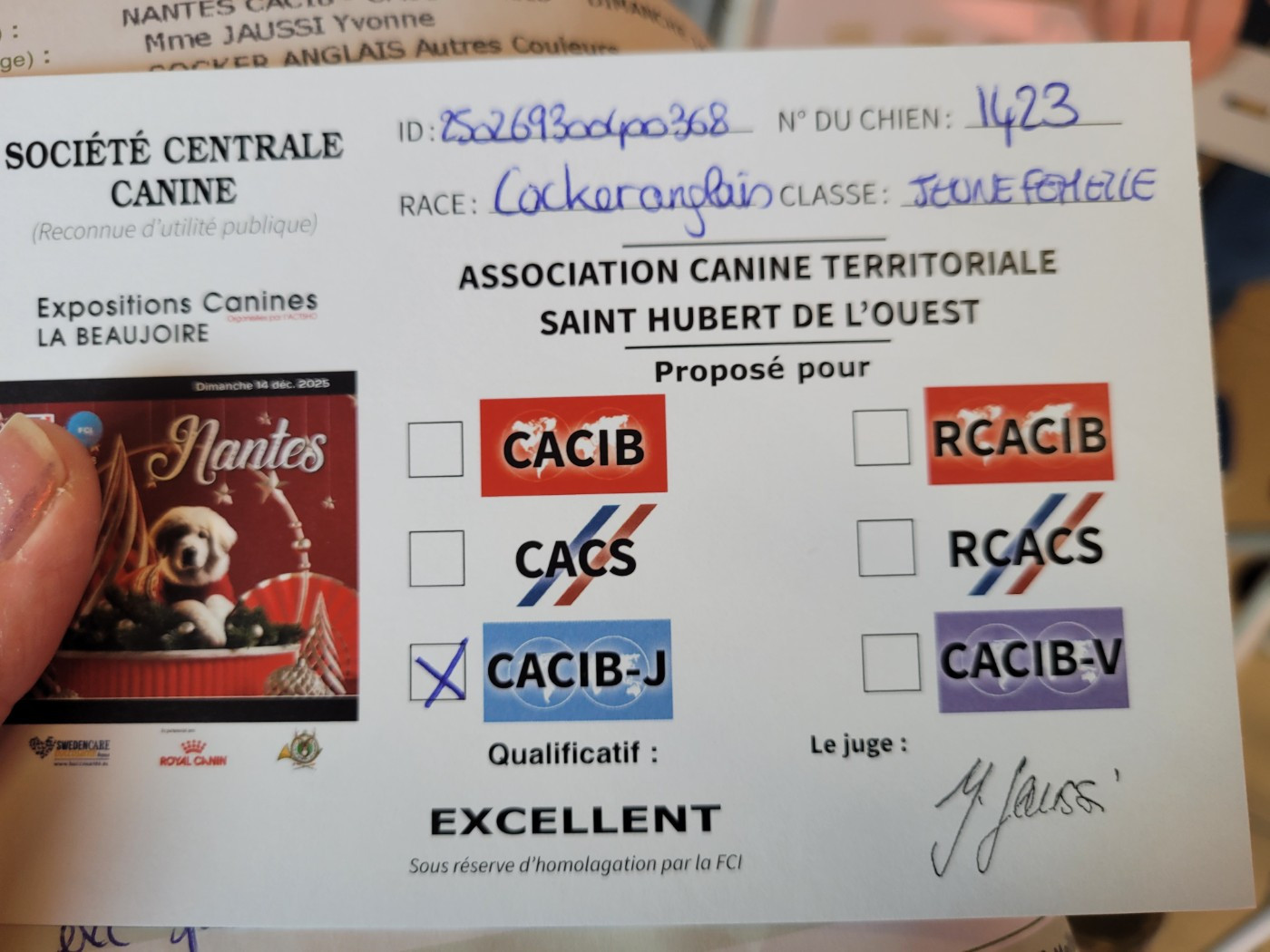 ar Sterenn Gwen - CACIB jeune pour Vixen!